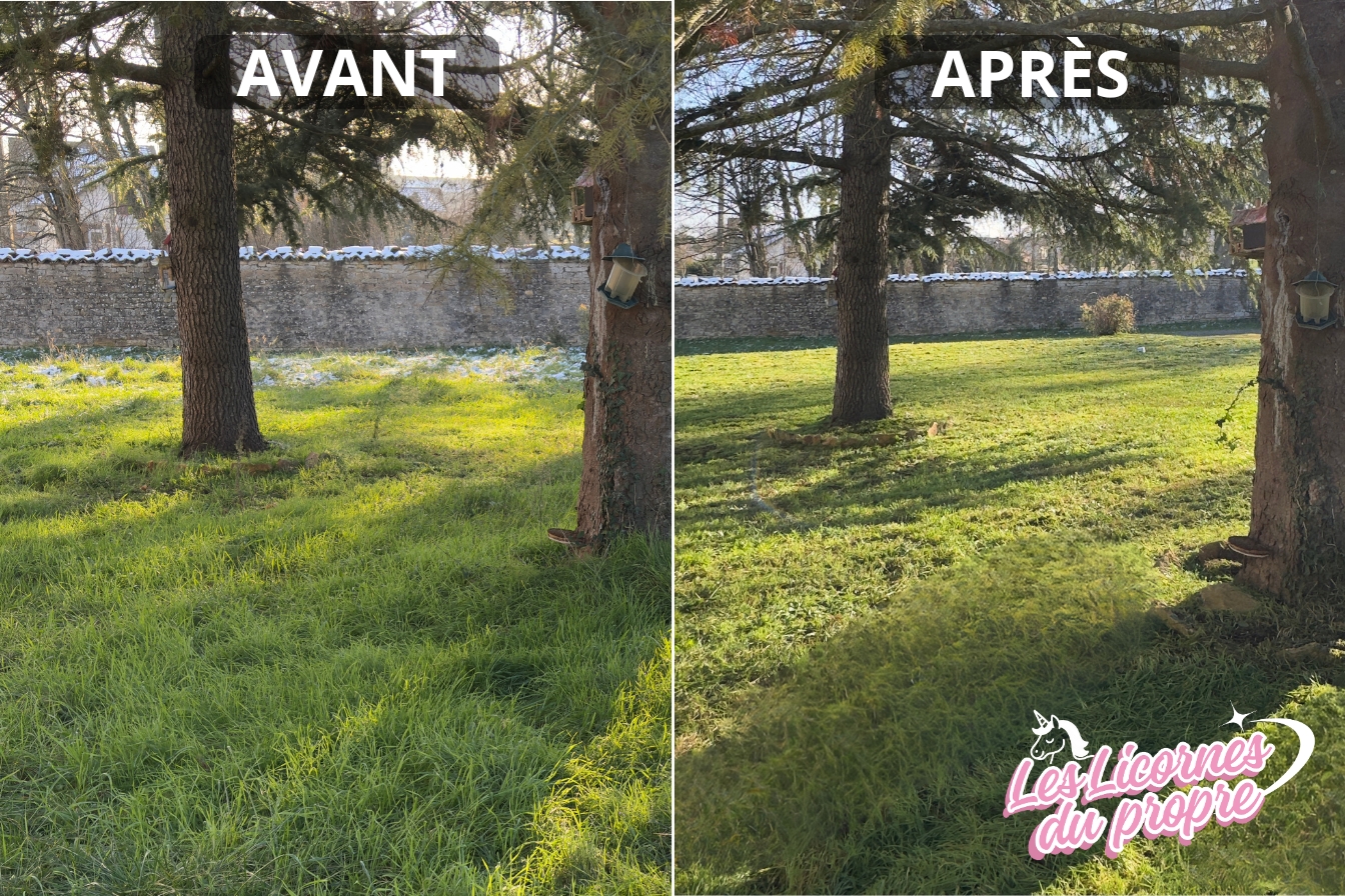 intervention-chantier-nettoyage-les-licornes-du-propre-saône-et-loire-7