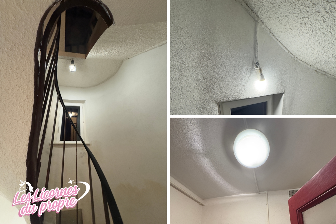 intervention-chantier-nettoyage-les-licornes-du-propre-saône-et-loire-8