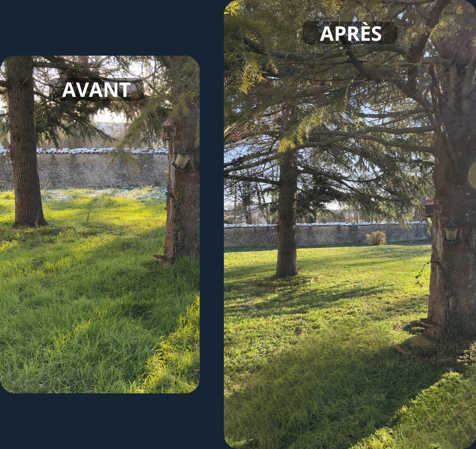 Les licornes du propre - avant-après- service de nettoyage-entretien extérieur - travaux-3