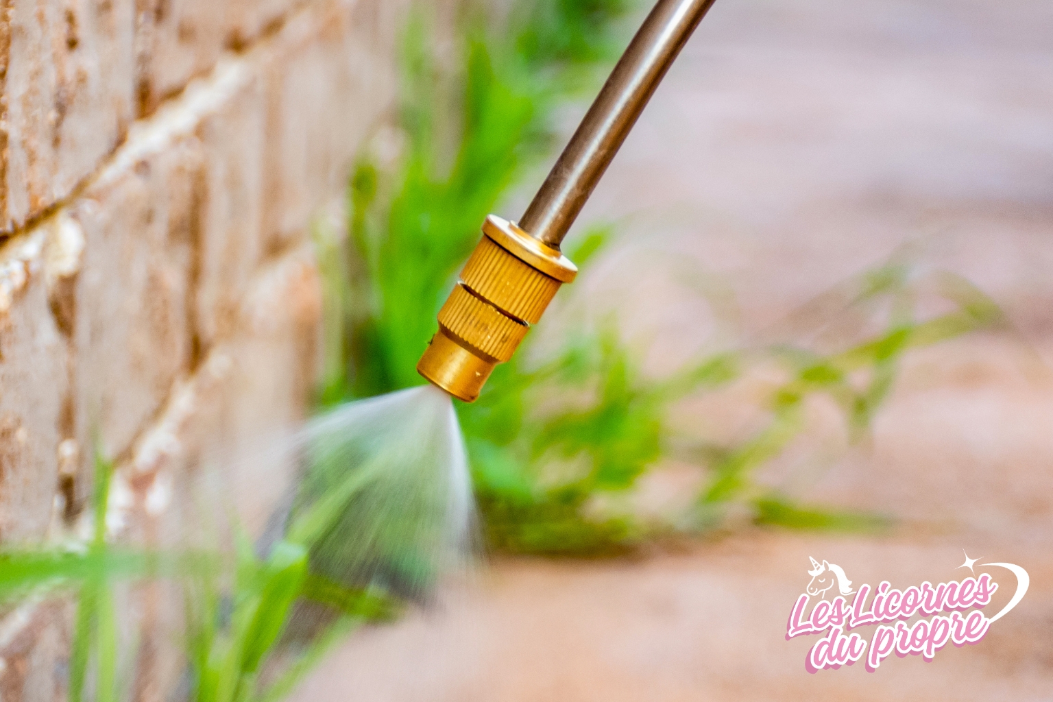 Quand et comment désherber efficacement ? Guide complet pour un extérieur propre toute l’année