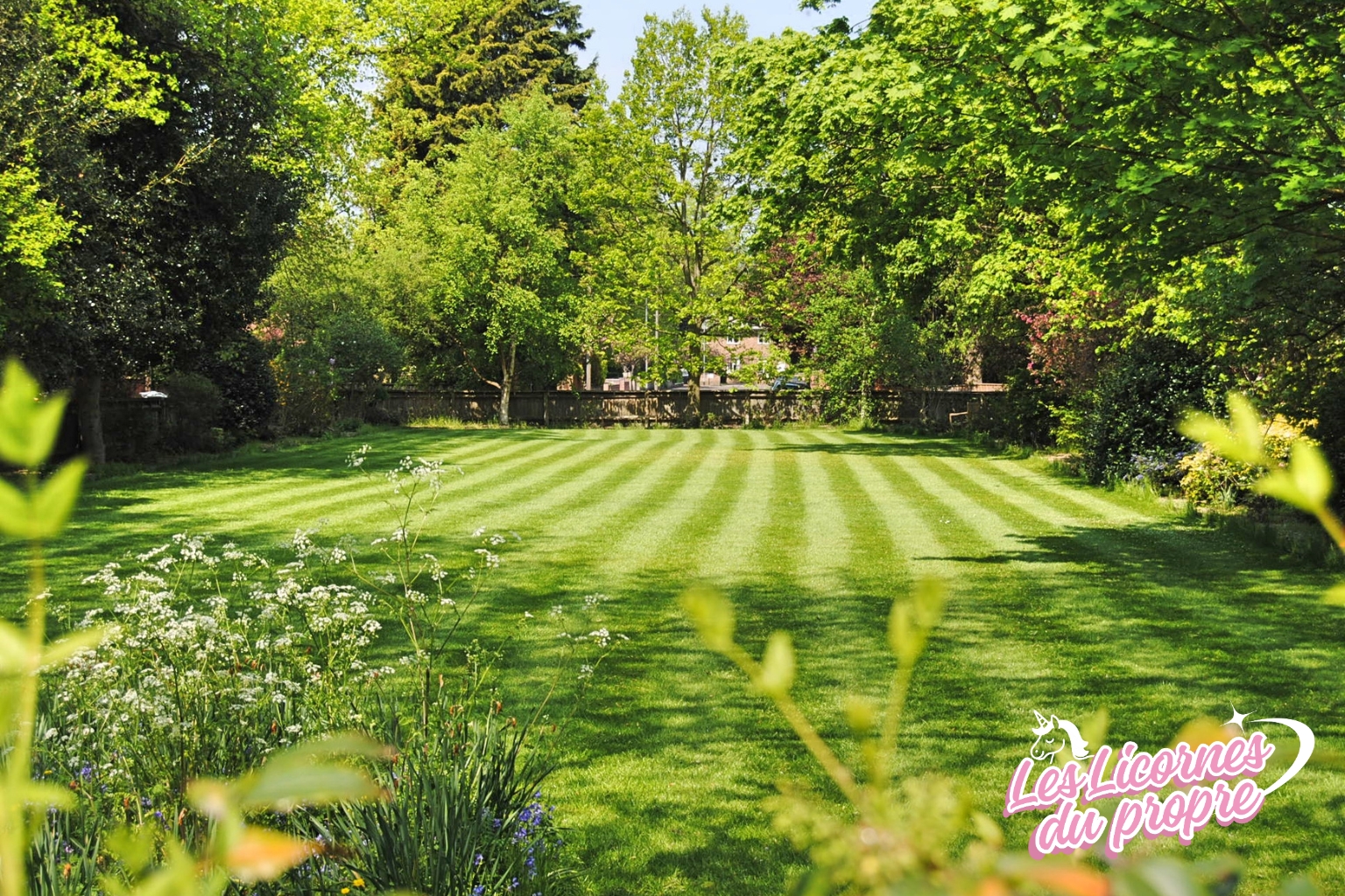 Entretien extérieur : que faire au printemps pour garder un extérieur propre ?